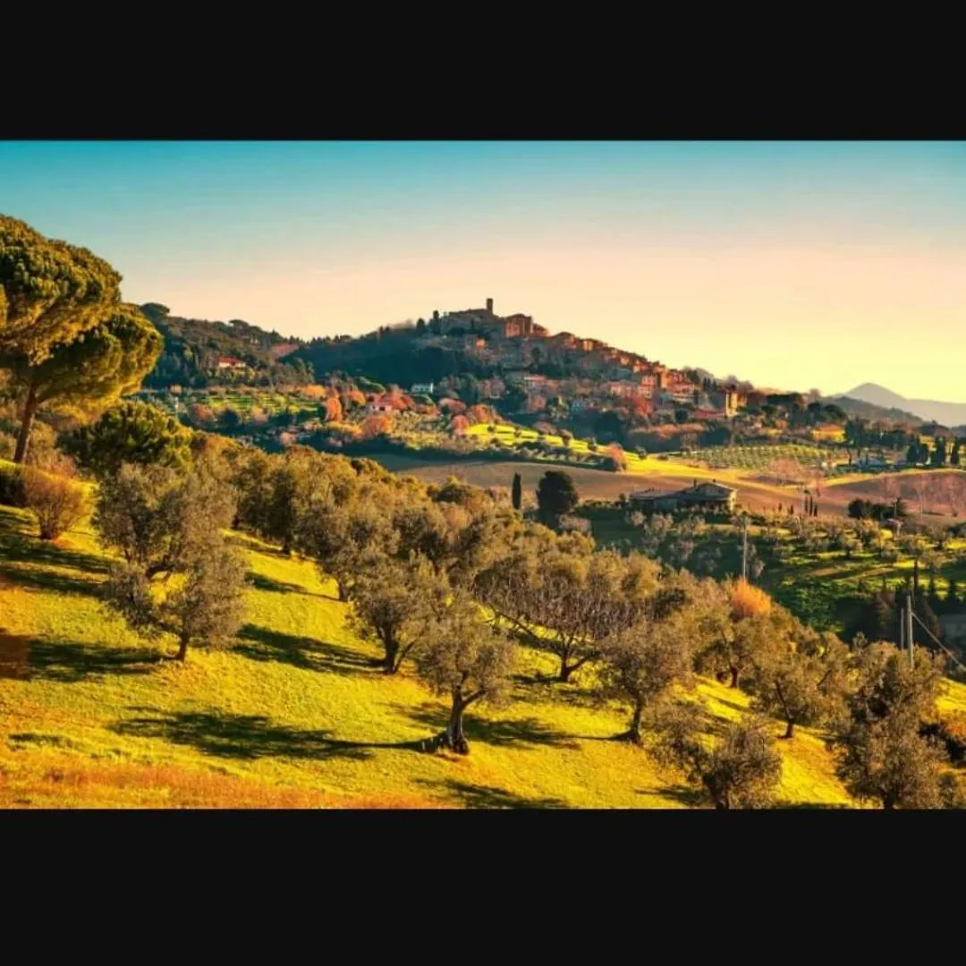 Holiday home Eli House Villa Catabbio Italy